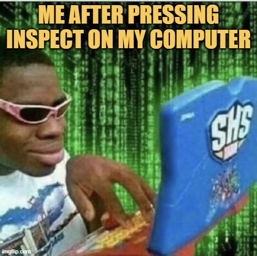 meme me after i pressing inspect on my computer