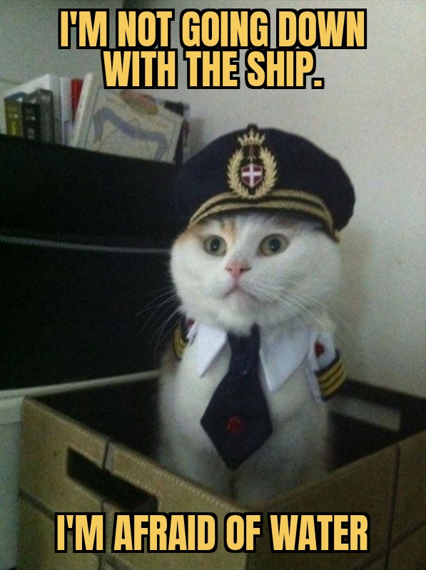 Captain Kitteh