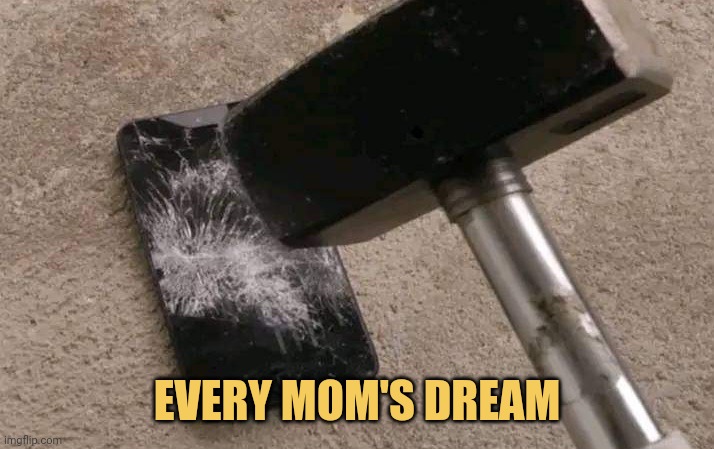 meme EVERY MOM'S DREAM