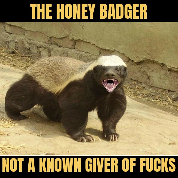 meme Badass Honey Badger