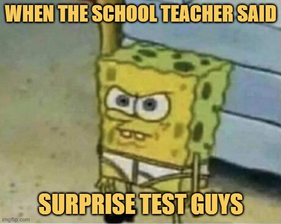 meme Surprise test guys