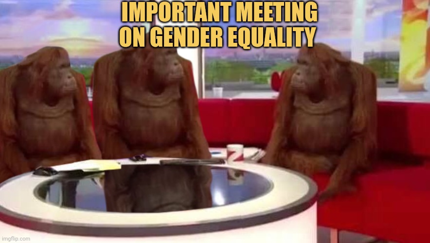 meme Gender equality 