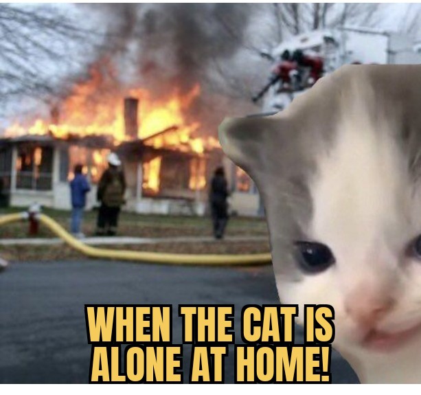 meme Alone at home!
