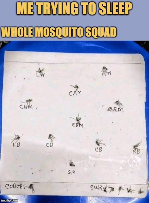 meme Bloody mosquito 