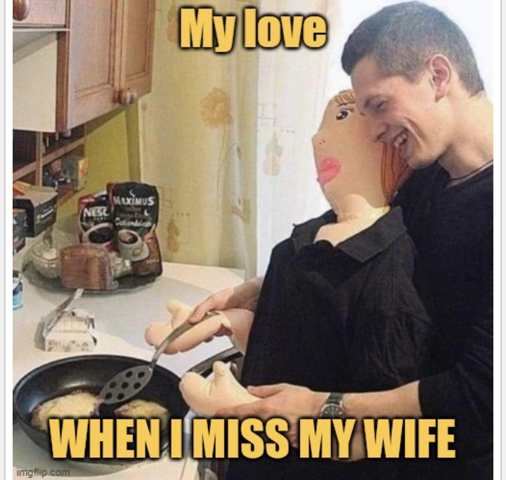 meme I miss my wife
