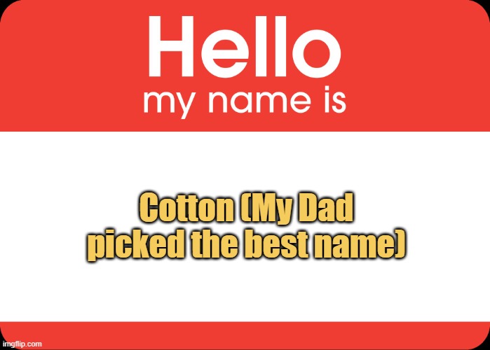 meme Cotton (My Dad picked the best name)