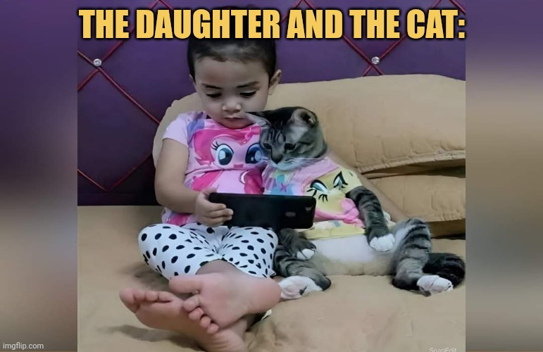 meme Dad: *buys her daughter a cat so she doesn't look into the phone so much.
