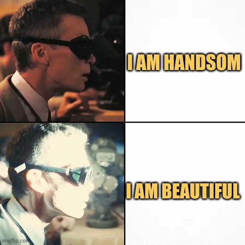 meme Beautiful vs handsome