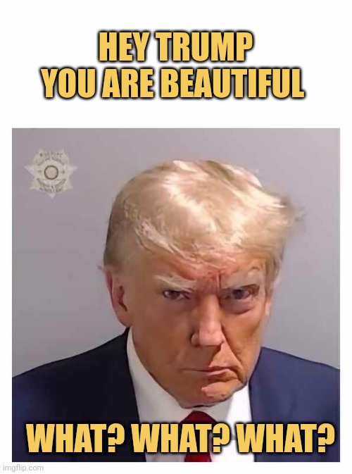 meme Donald Trump is beautiful 