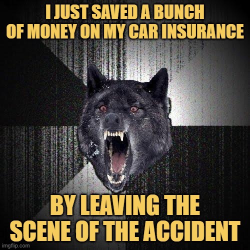 meme BY LEAVING THE SCENE OF THE ACCIDENT