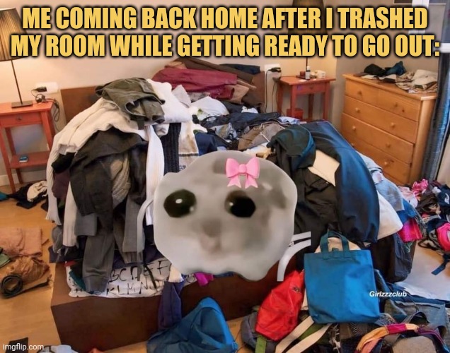 meme Now i have to clean this mess 