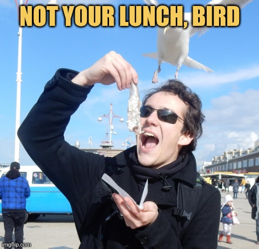 meme Not your lunch, bird