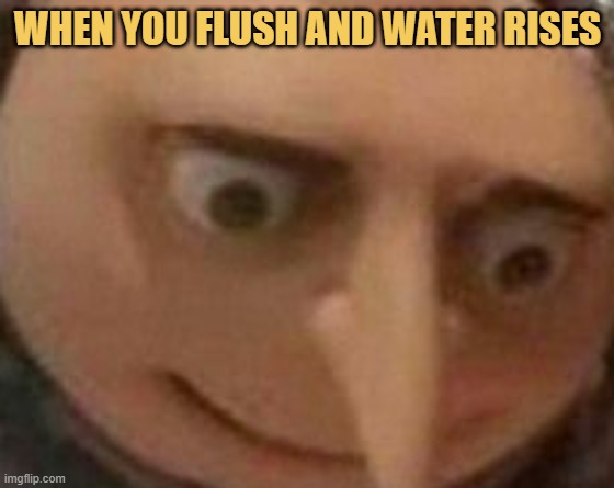 meme When you flush and water