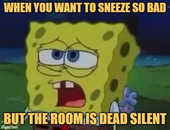 meme When you want to sneeze so bad