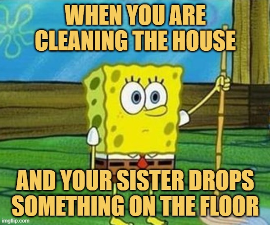 meme When you are cleaning the 