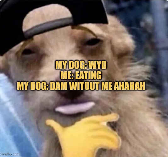 meme My dog: wyd
Me: eating
My dog: dam witout me ahahah