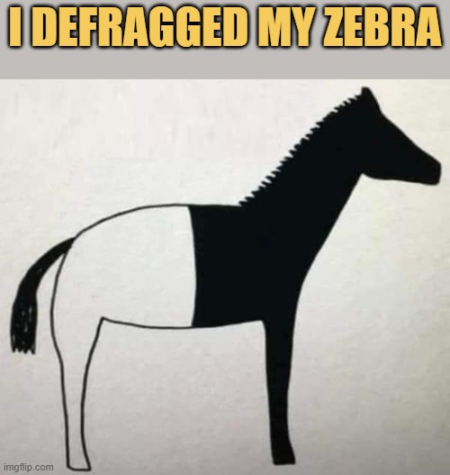 meme Defragged my Zebra