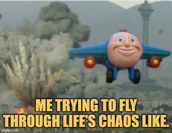 meme Me trying to fly through life's chaos like