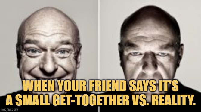 meme When your friend says it's a small get-together vs. reality.