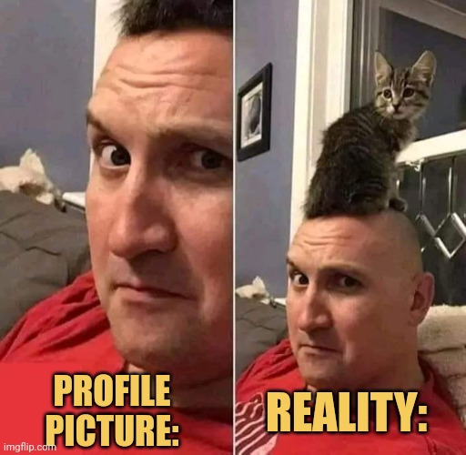meme Profile picture: vs 
Reality: