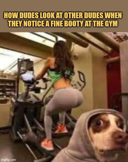 meme How Dudes Look At Other Dudes When They Notice A Fine Booty At The Gym