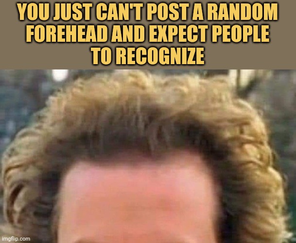 meme You just can't post a random
forehead and expect people
to recog