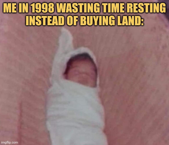 meme Me in 1998 wasting time resting
instead of buying land: