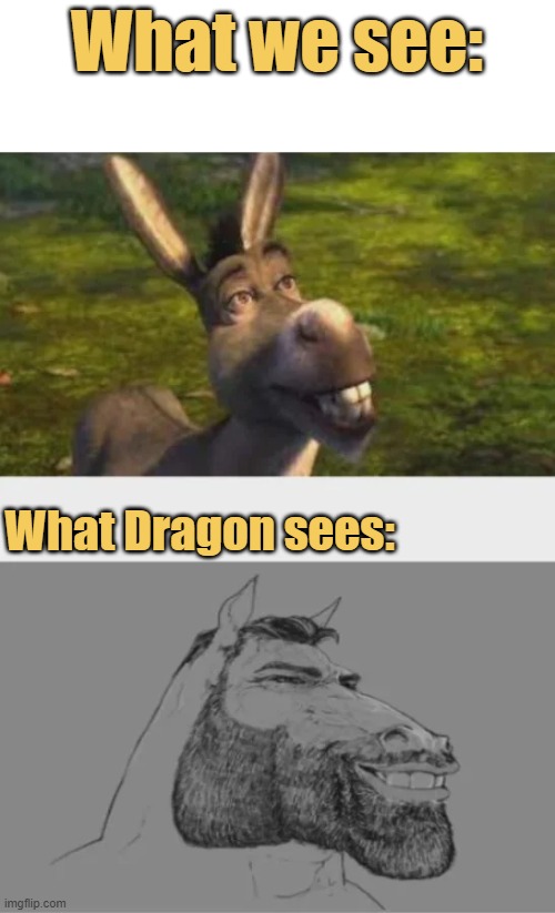 Donkey