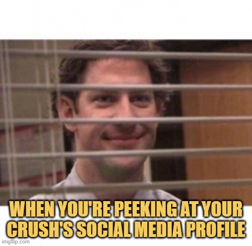 meme When you're peeking at your crush's social media profile