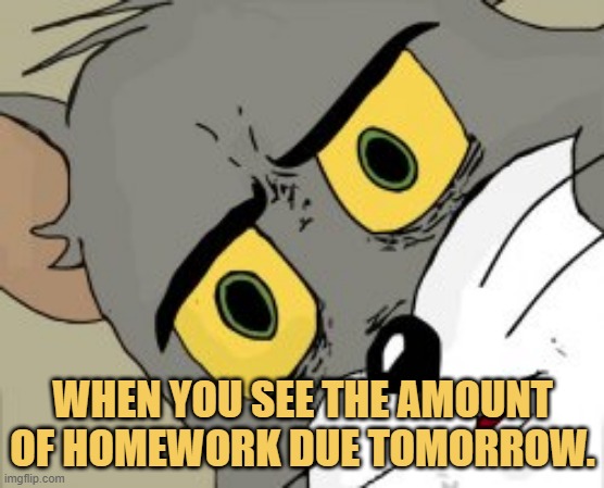 meme WHEN YOU SEE THE AMOUNT OF HOMEWORK DUE TOMORROW.