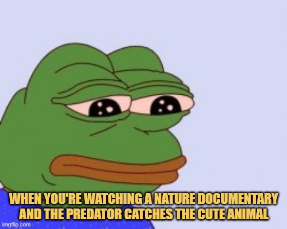 meme When you're watching a nature documentary and the predator catches the cute animal