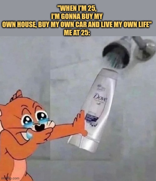 meme But Now i am putting water into shampoo bottle to use it more... 