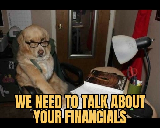 meme Financial Advice Dog
