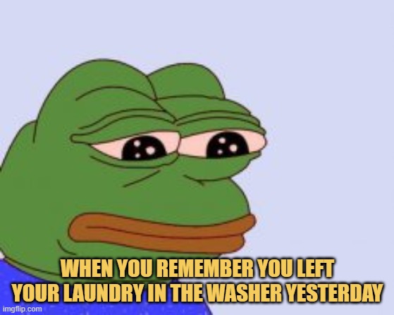 meme When you remember you left your laundry in the washer yesterday