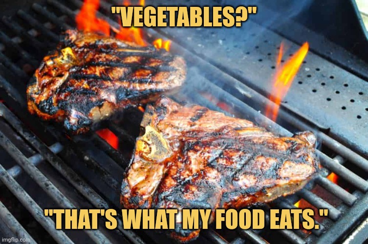 meme When a vegetarian asks me what i eat... 