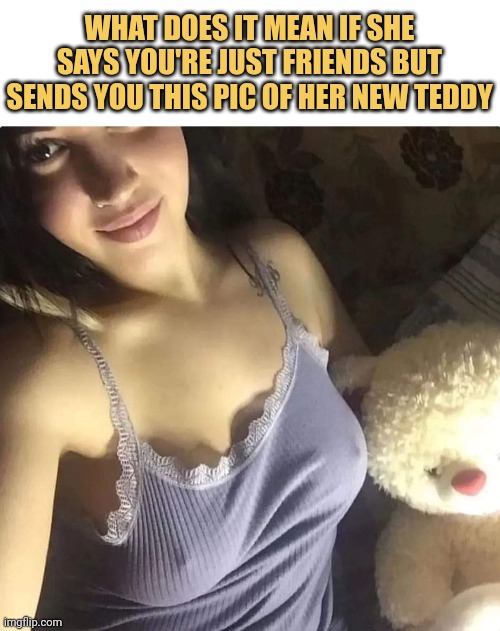 meme Very cute teddy though! 🥵😂