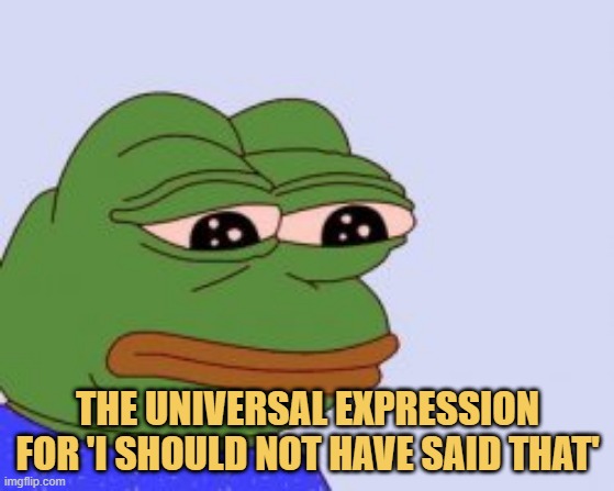 meme THE UNIVERSAL EXPRESSION FOR 'I SHOULD NOT HAVE SAID THAT