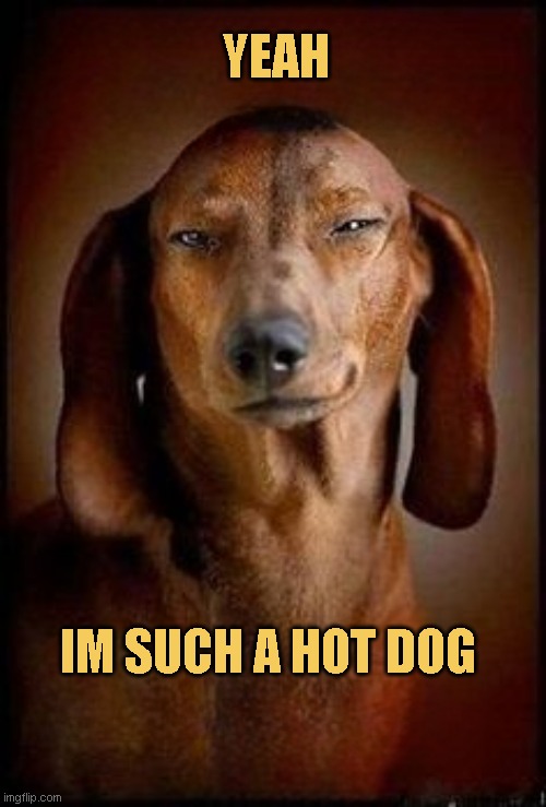 meme A hot dog