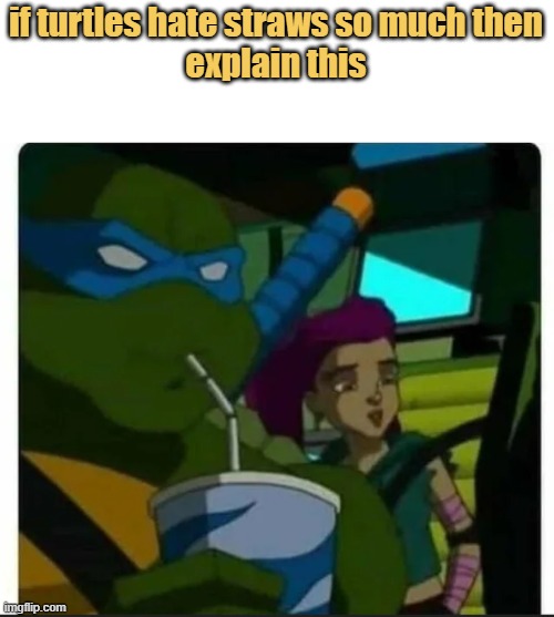 meme TMNT cant be wrong