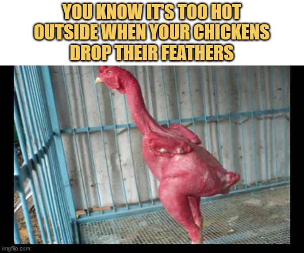 It do be hot out.