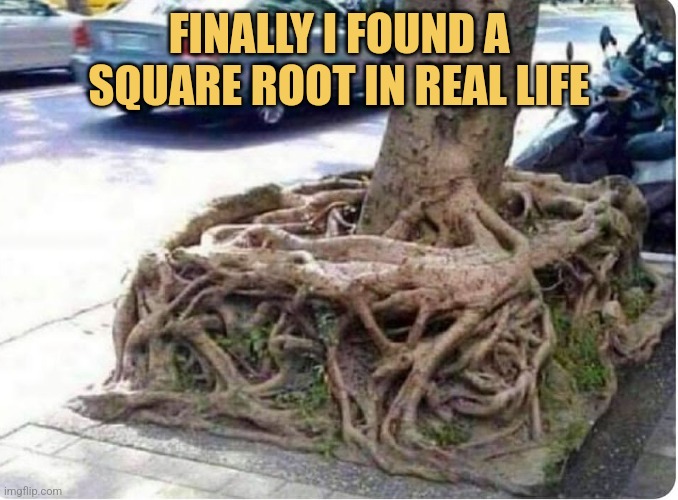 meme Square root 🤣🤣🤣