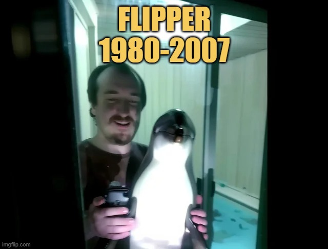 meme remember flipper