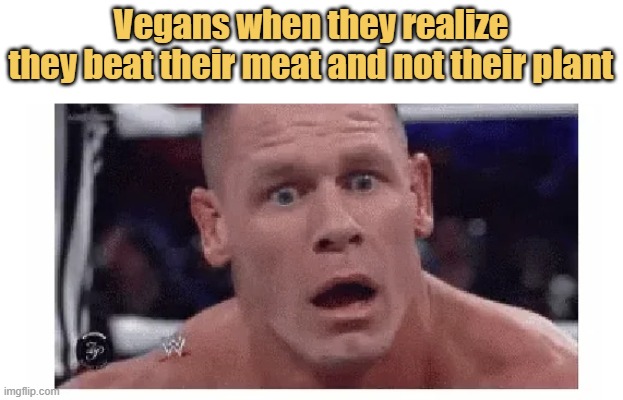 meme Veganz be like