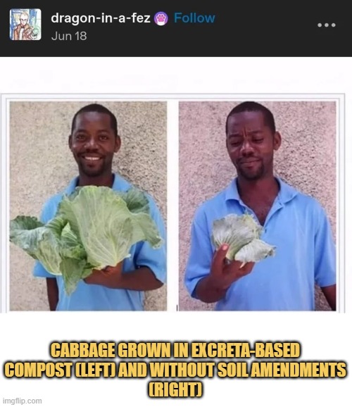 meme Duality of cabbage dude