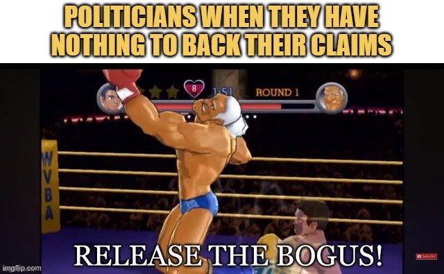 meme Super Bogus President!