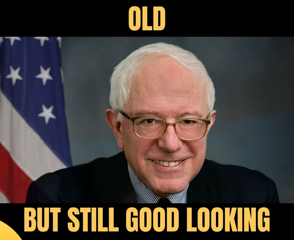 meme Bernie Sanders 1