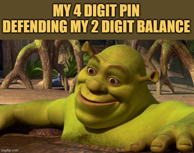 meme MY bank balance 