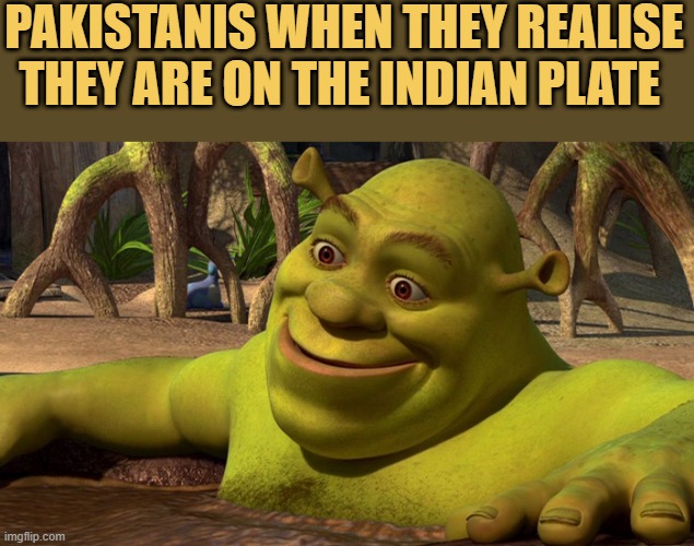 meme They hate india 