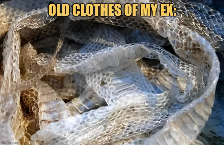 meme Old clothes of my ex: