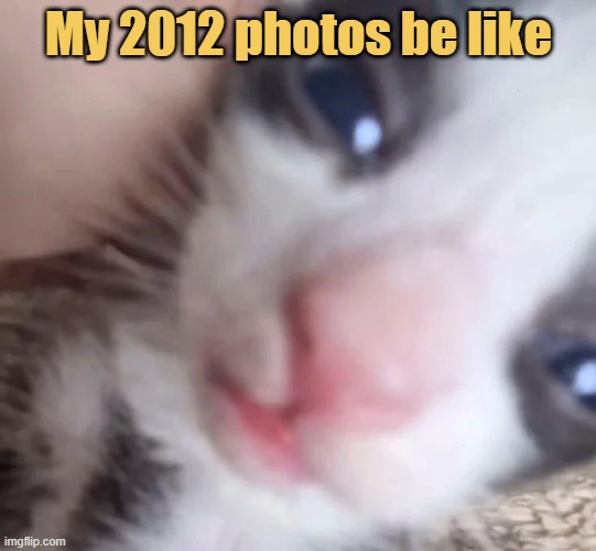 meme My 2012 photos be like